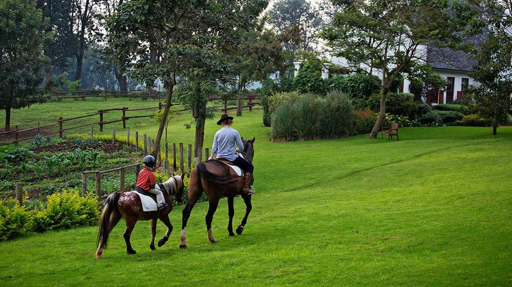 The Manor at Ngorongoro